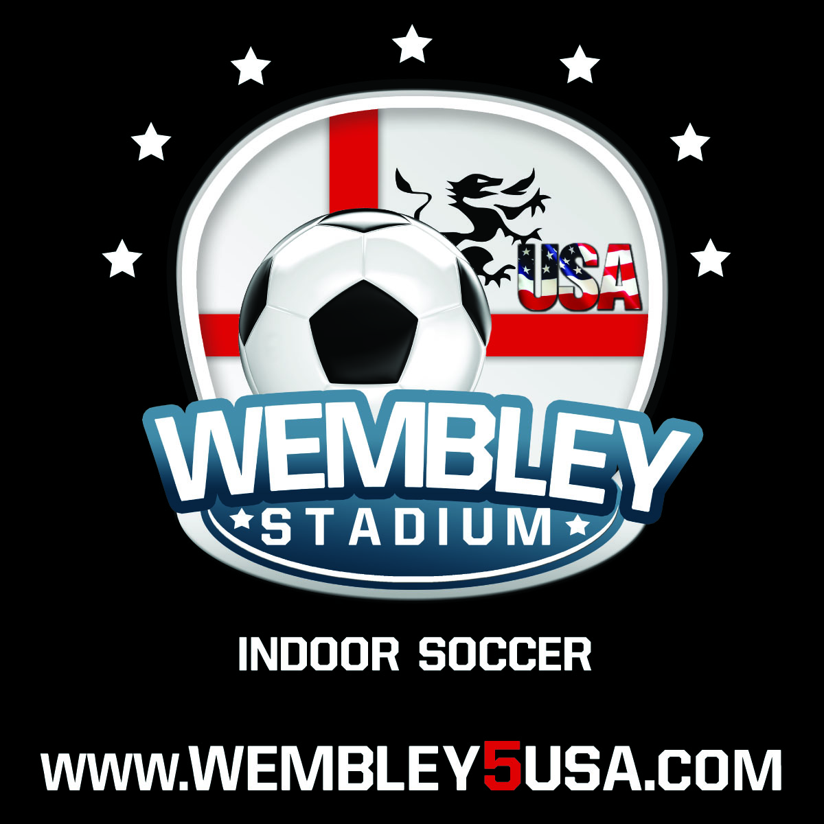 logo de Wembley Y Viamericas Copa Femenina