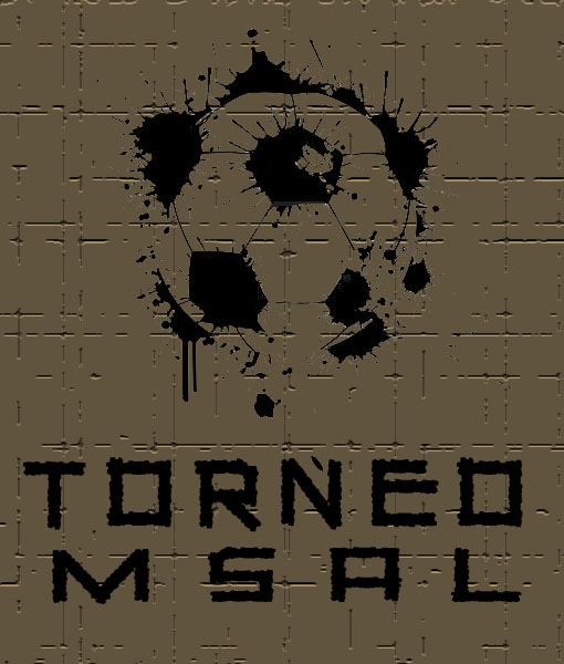 logo de Torneo Msal