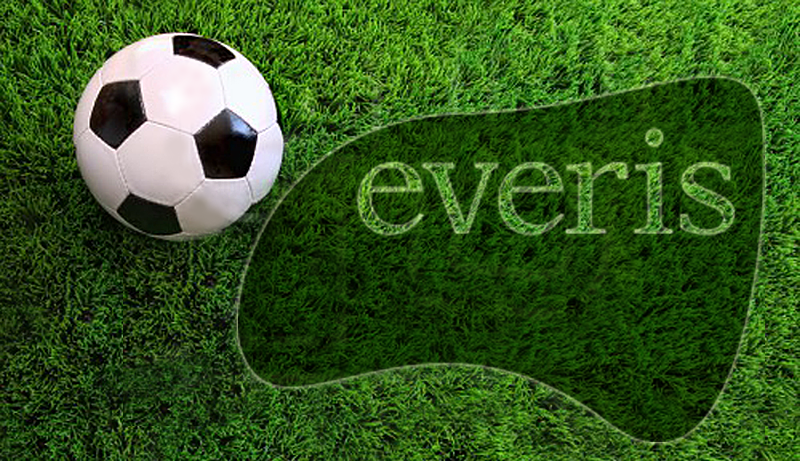 Futbol -everis Apertura 2013-