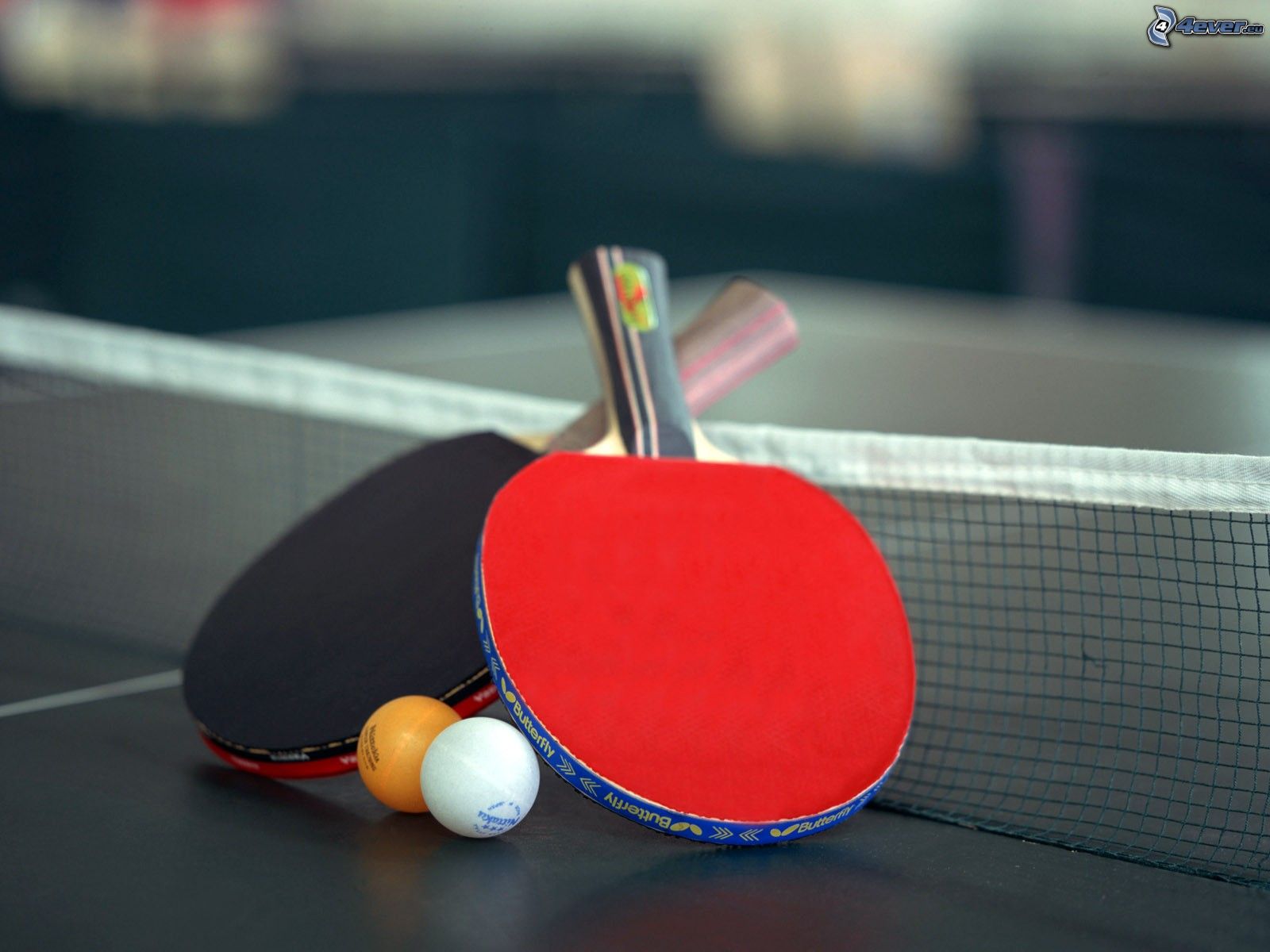 Tenis De Mesa  Campeonato De Tenis De Mesa