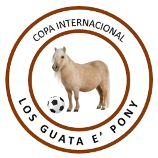 Futbol Copa   los Guata E   Pony