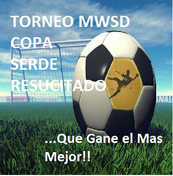 Futbol Torneo Mwsd