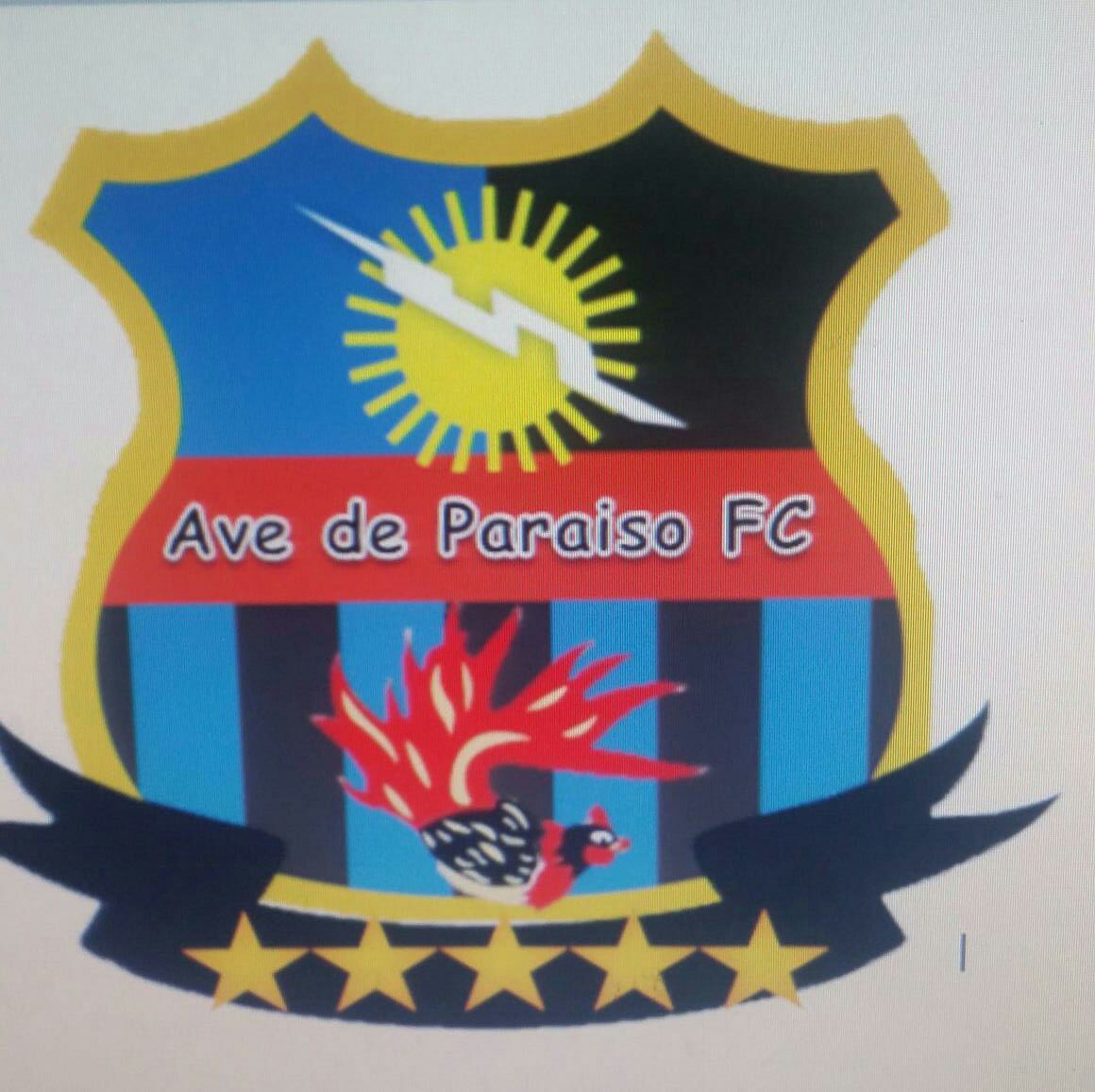 Futbol sala  I Torneo Copa Aniversario Ave De Paraiso