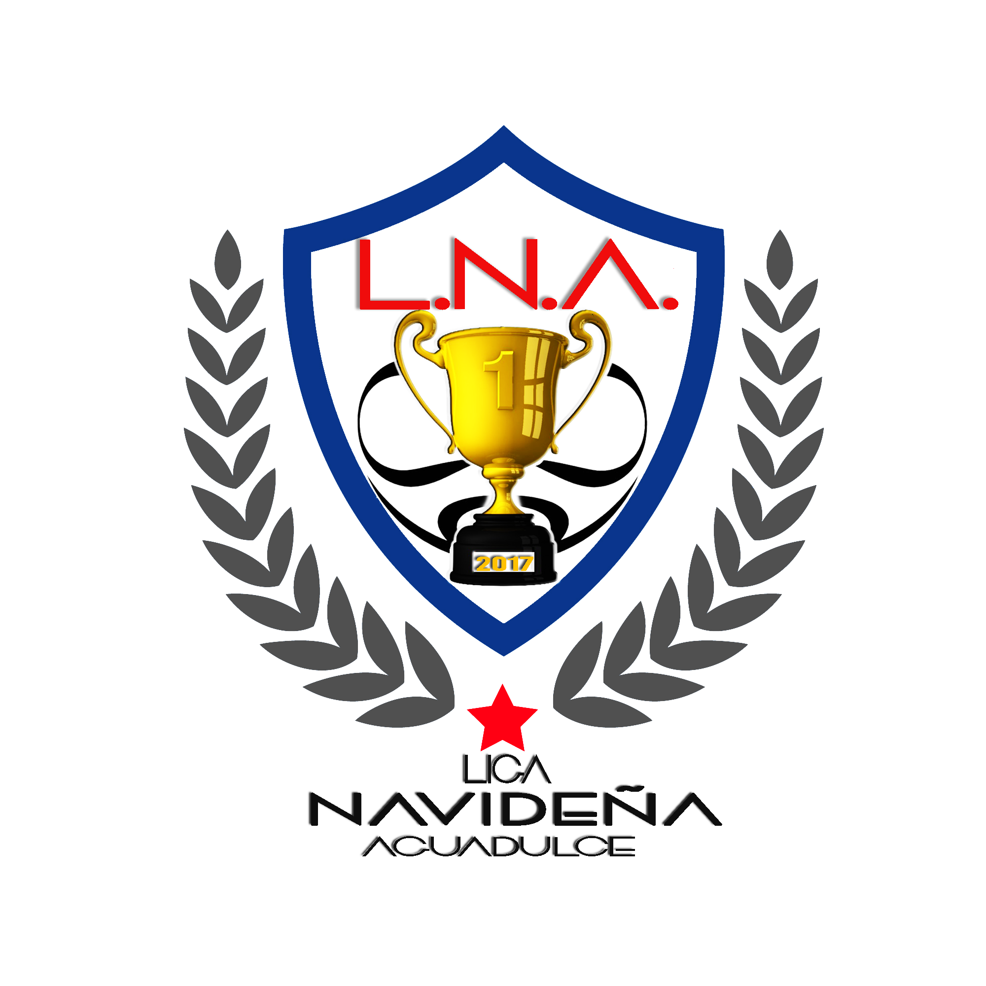 Futbol Liga Navidena Aguadulce