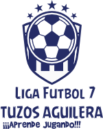 Futbol Liga Futbol 7