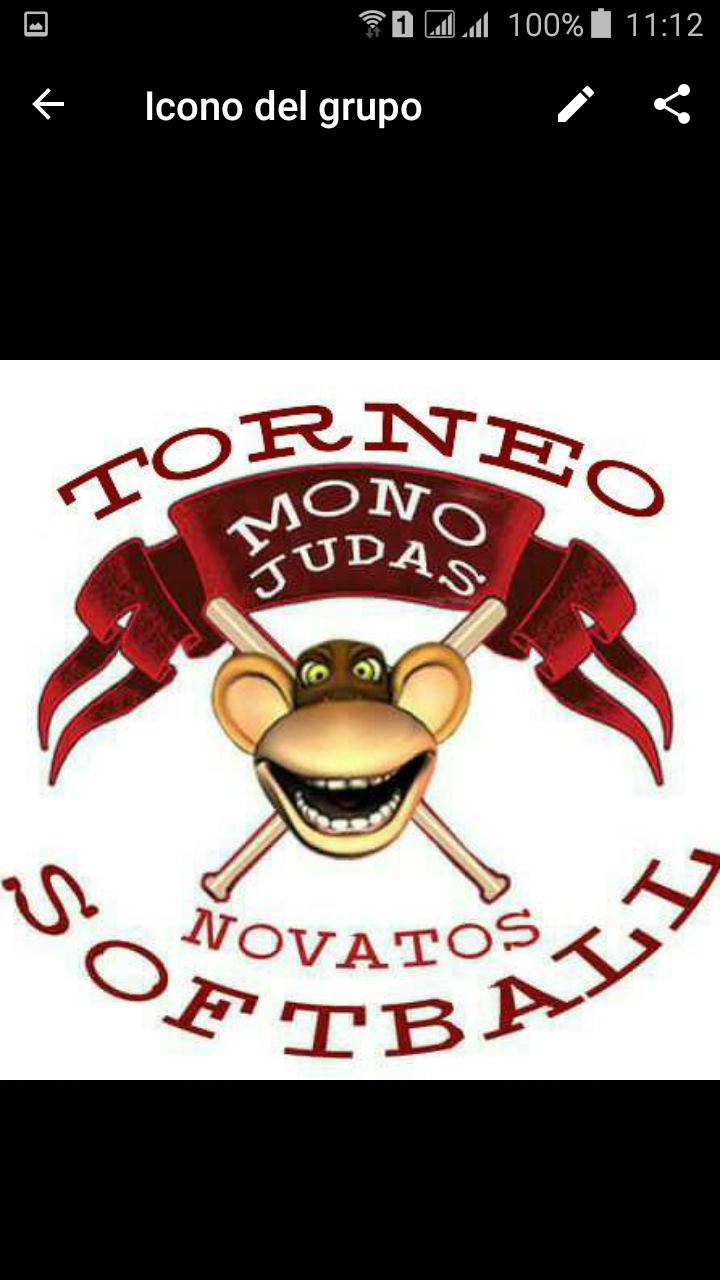 Softbol  Torneo Novatos Mono Judas - Leones