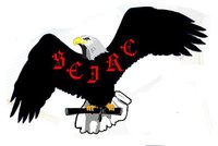 logo de Copa  schire