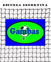logo de Torneo Clausura 2011. Gambas